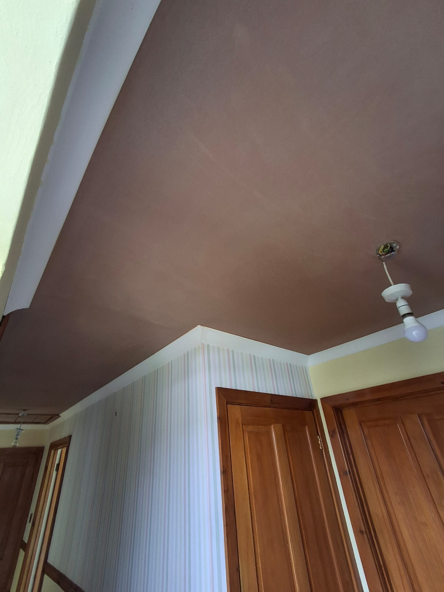 Ceiling Repair & Skim project photo 2